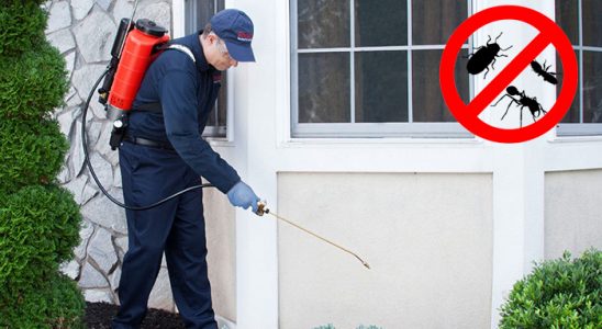 Çaldıran Dezenfeksiyon böcek ilaçlama ve haşere kontrolü — ilaclama-tr.com